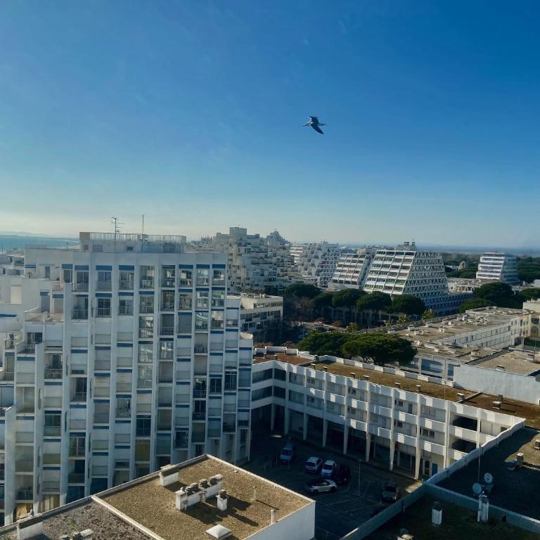 LE PANORAMIQUE, P2 vue sur mer, clim, centre ville, WIFI - Appartamento con 1 Camera da Letto - 2
