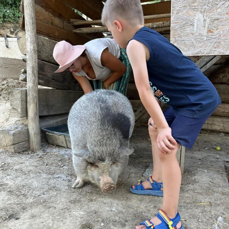 Agriturismo Biofattoria l'Upupa - Doppelzimmer mit eigenem Bad - 22