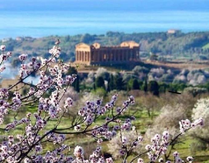 La casa di Alice è un bilocale luminoso e felice - Apartamento de 1 dormitorio - 26