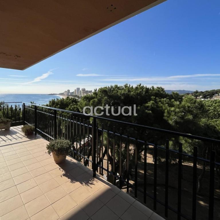 CAVALL BERNAT 36 - Apartamento de 3 dormitorios - 20