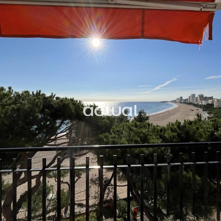 CAVALL BERNAT 36 - Apartamento de 3 dormitorios - 2