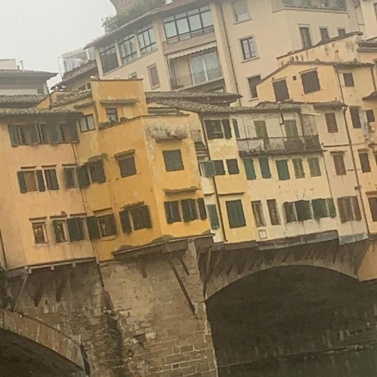 The secret window on the river Arno - Appartamento con 1 Camera da Letto - 45