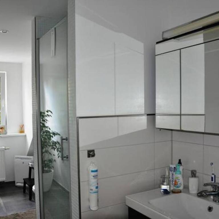Wunderschöne Loft-Stadtwohnung - Apartment mit 1 Schlafzimmer - 3