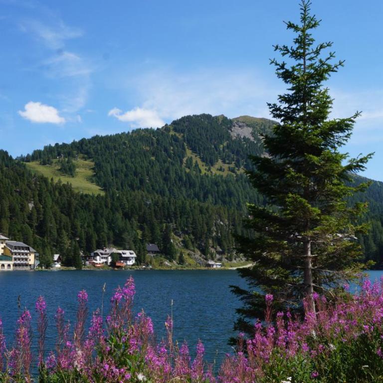Chalet Bergliebe Turrach - Haus mit 2 Schlafzimmern - 6