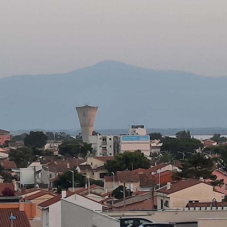 Canet-Plage TERRASSE SUD A 50M DE LA plage - Appartement 1 Chambre - 16