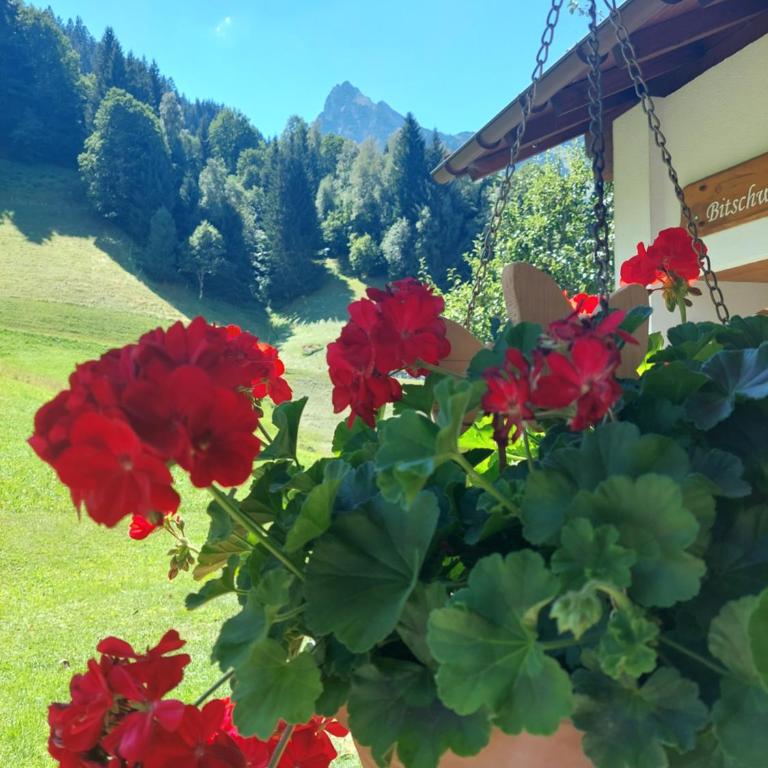 Bergmomente Montafon Ferienhaus Bitschweil - Ferienhaus - 12