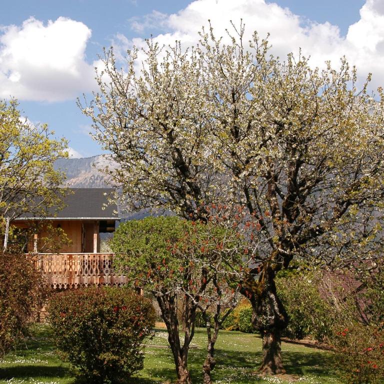 Le P'tit Chalet de la Fressine - Chalet 1 Chambre - 29