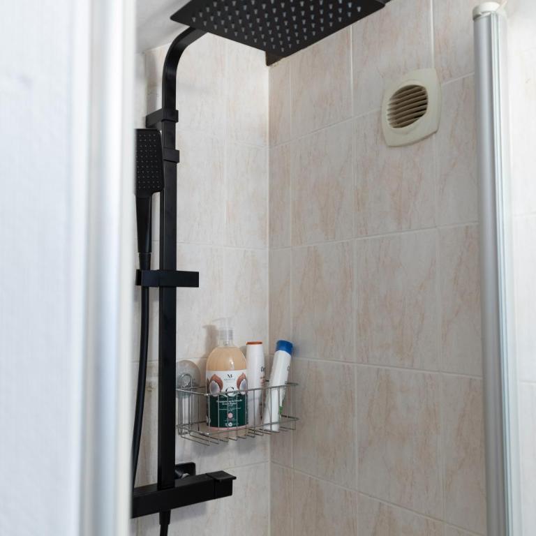 Le Château Taison au coeur du centre ville - Appartement 1 Chambre - 4