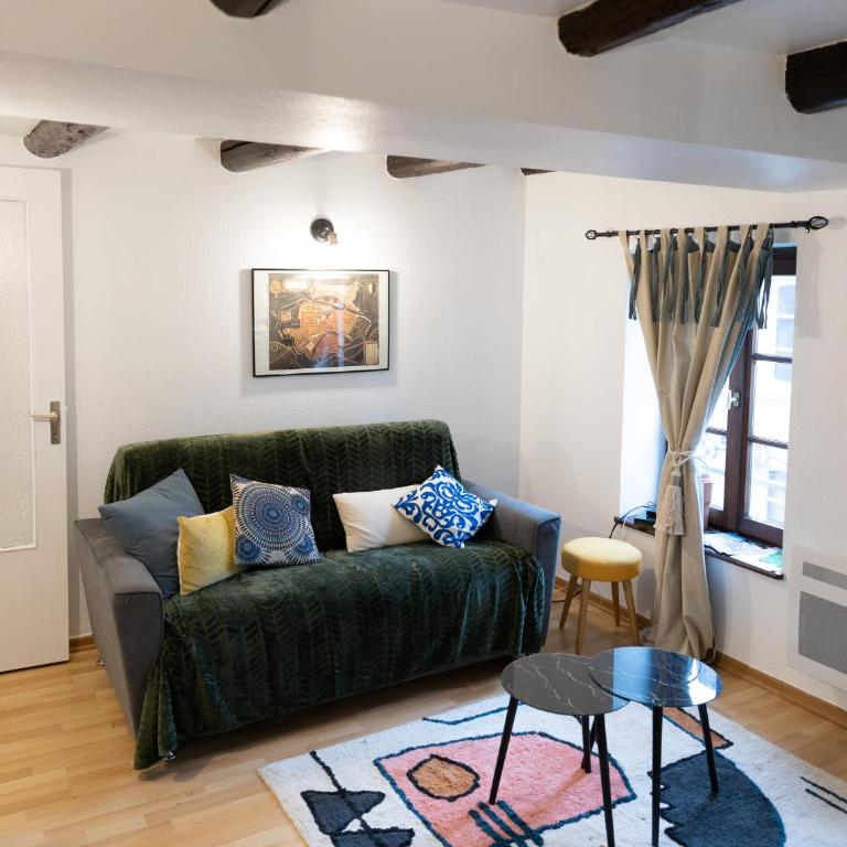 Le Château Taison au coeur du centre ville - Appartement 1 Chambre - 11