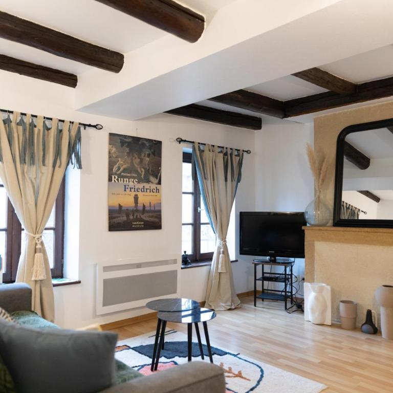 Le Château Taison au coeur du centre ville - Appartement 1 Chambre - 15