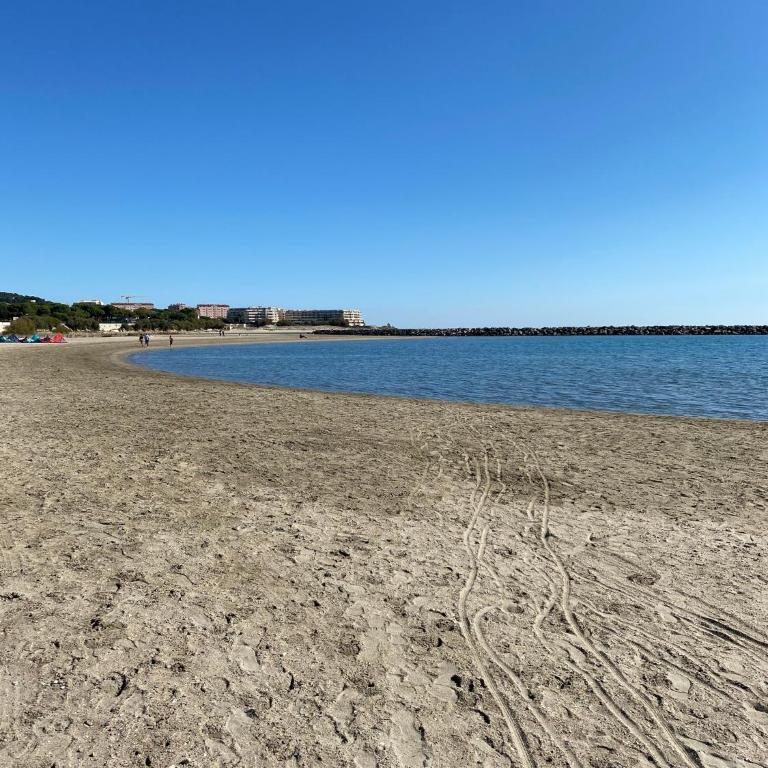 Superbe T2 avec Terrasse et vue su mer Quartier des Quilles à Sète - Apartamento de 1 dormitorio - 13