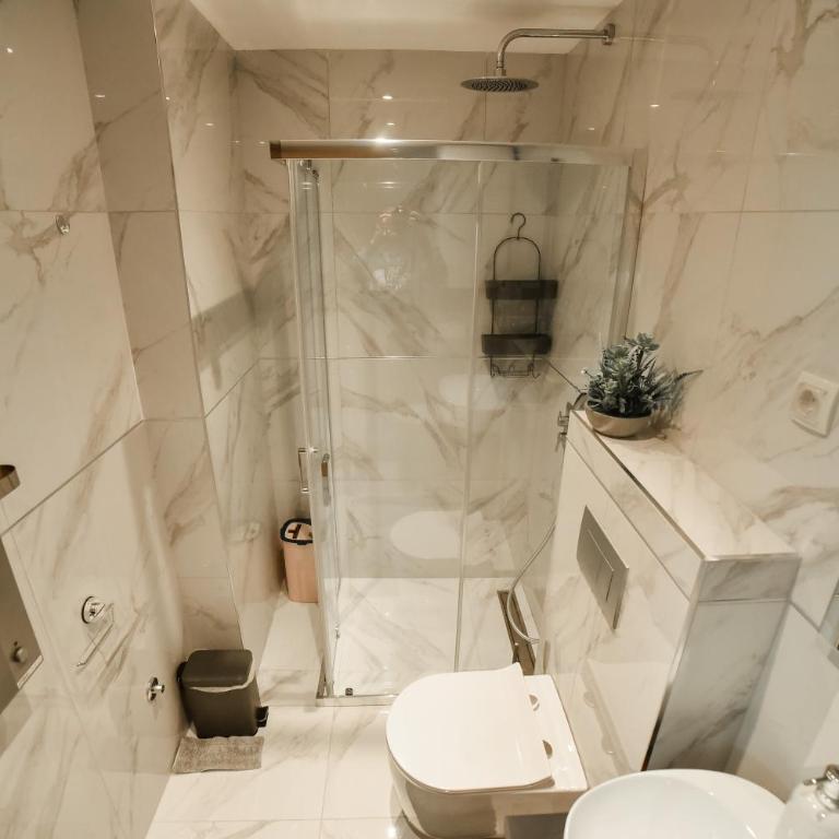 Mount Inn Nešić - Apartman sa 1 Spavaćom Sobom - 19