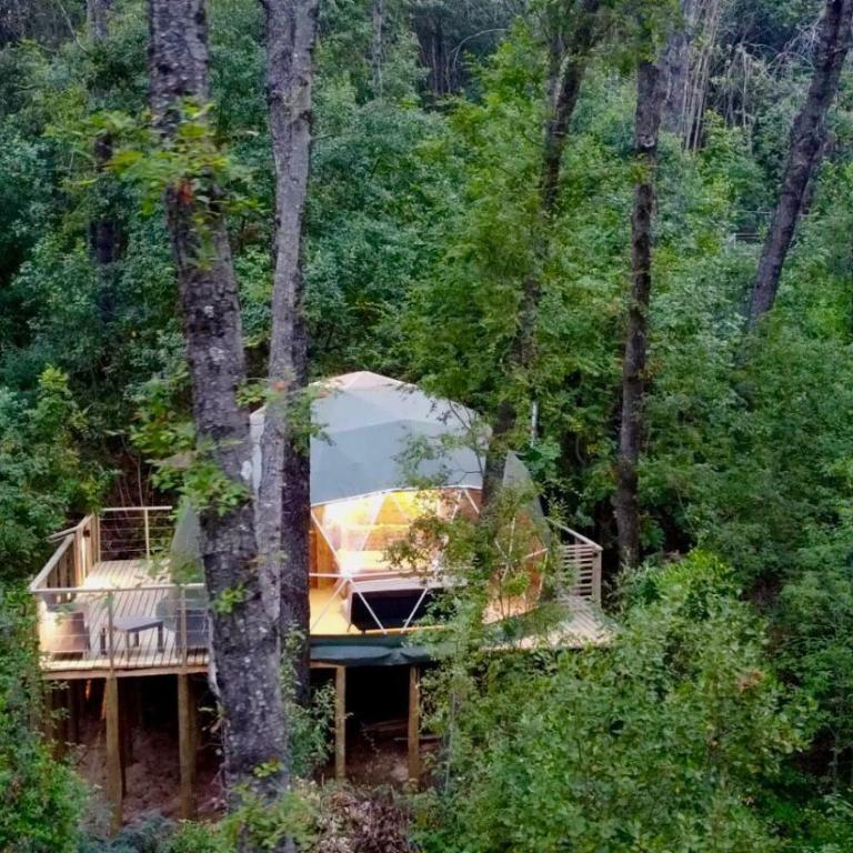 Bosque Vivo - Glamping - 6
