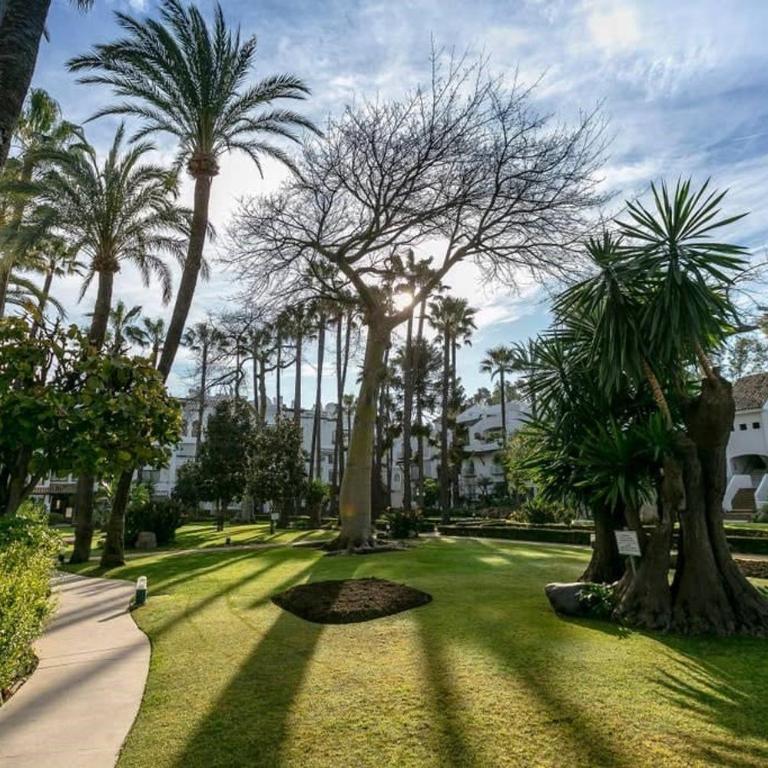 Super Stylish apartment in La Alcazaba - RDR172 - Apartamento con vistas al jardín - 18