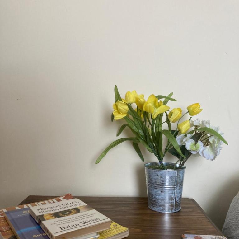 Departamento acogedor en la mejor zona de La Paz - Apartamento de 3 dormitorios - 6