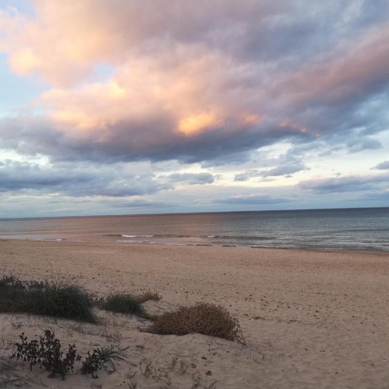 Apartamento con VISTAS AL MAR - Apartamento de 3 dormitorios - 42