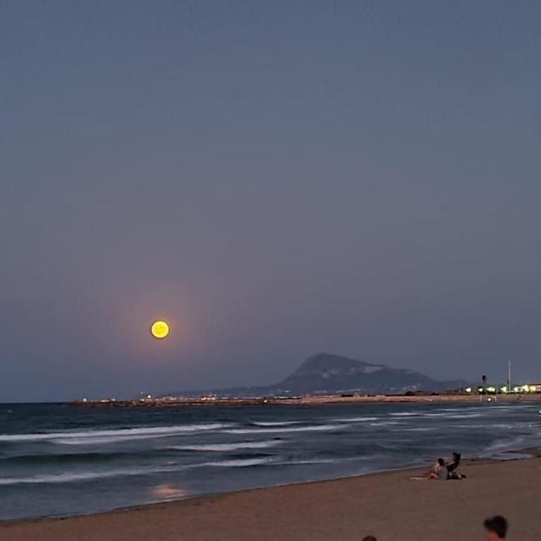 Oliva Moon - Apartamento de 2 dormitorios - 42