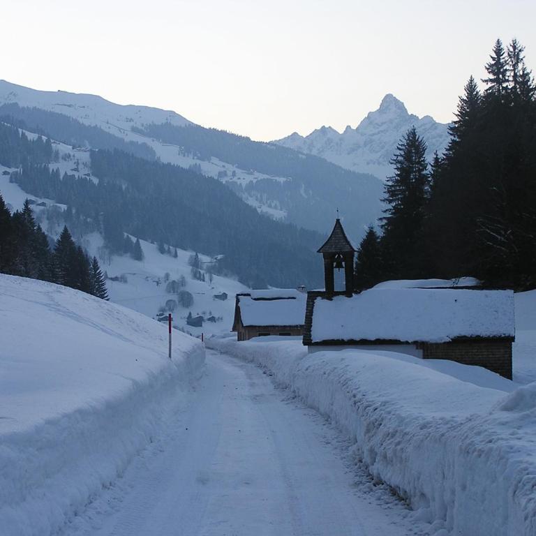 Bergmomente Montafon Ferienhaus Bitschweil - Ferienhaus - 45