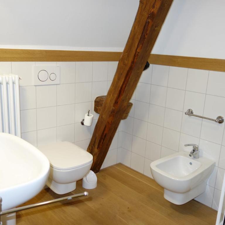 Villa Molteni, Ville di Fiemme, Varena - Villa - 35