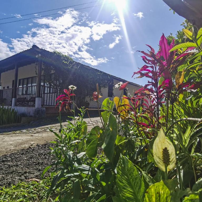 VILLA ALEJANDRA - Hermosa FINCA cerca al centro - Sendero - Jacuzzi - Casa de 4 dormitorios - 16