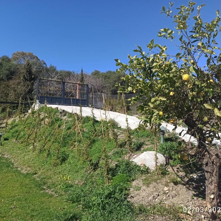 La Casa de los Aguacates entre Marbella, Benahavìs y Estepona - Casa de 2 dormitorios - 11