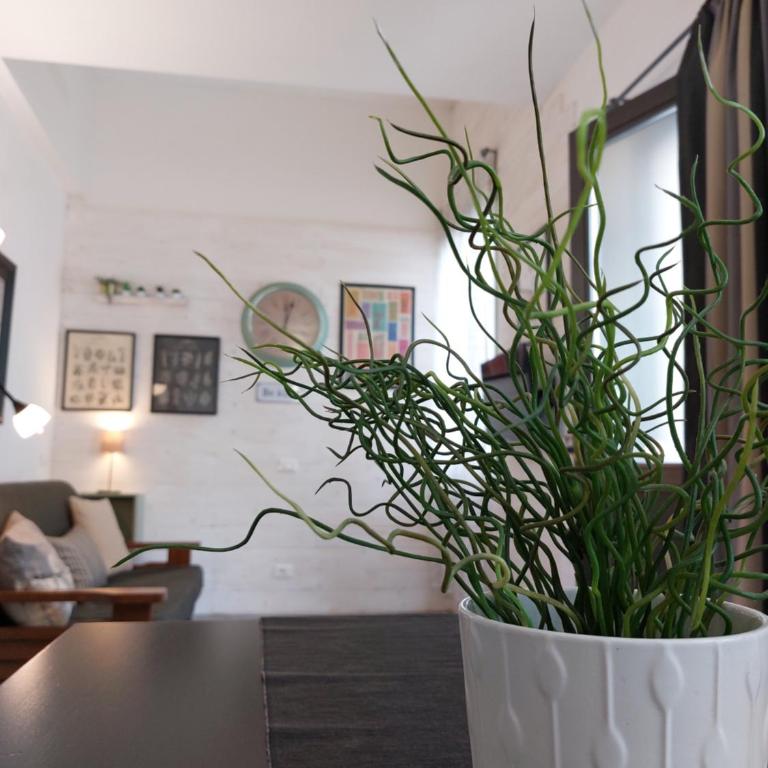 Alloggi Francesco - Apartment - Split Level - 16