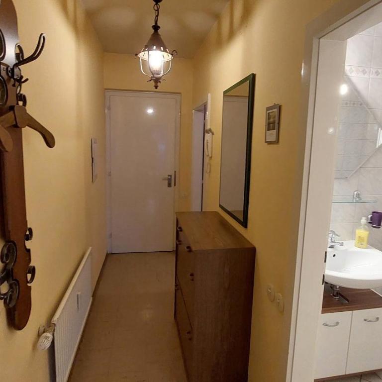 Sonnenalm apartments - Apartment mit 1 Schlafzimmer - 16