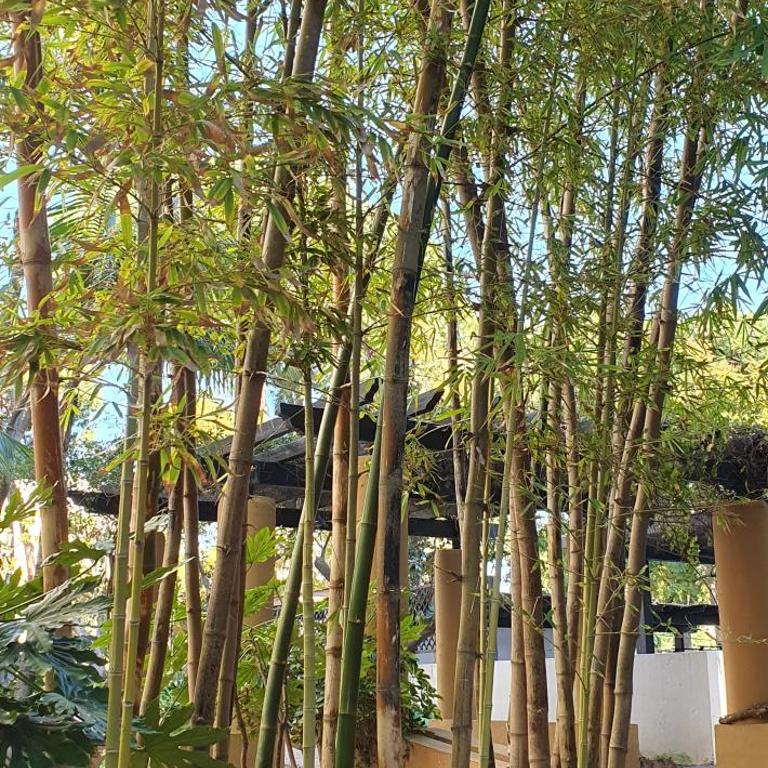 Jardines de las Golondrinas Elviria by the Nikki beach - Two-Bedroom Apartment - 43