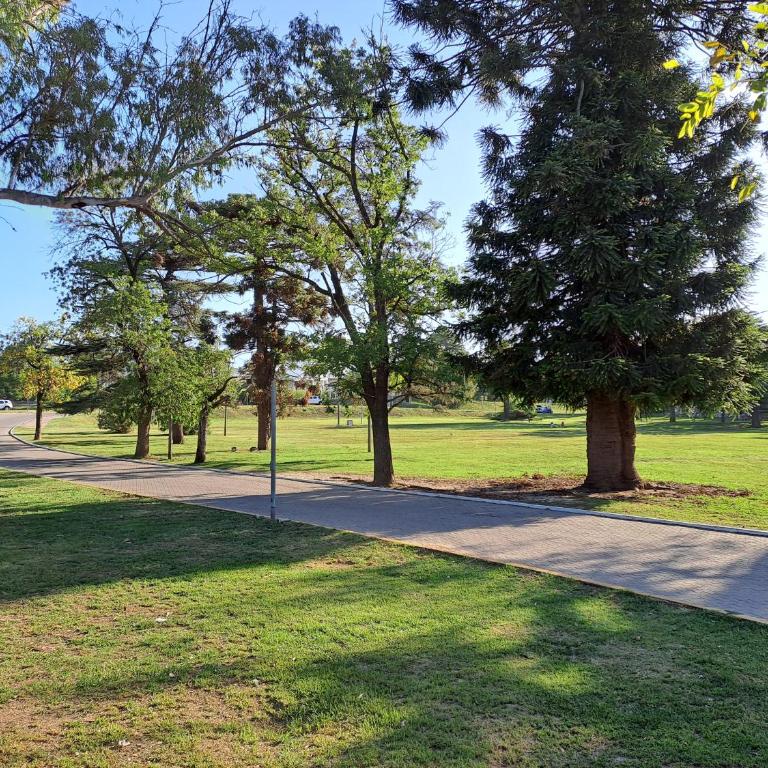 PARQUE DEL SIERRAS - Apartamento de 1 dormitorio - 4