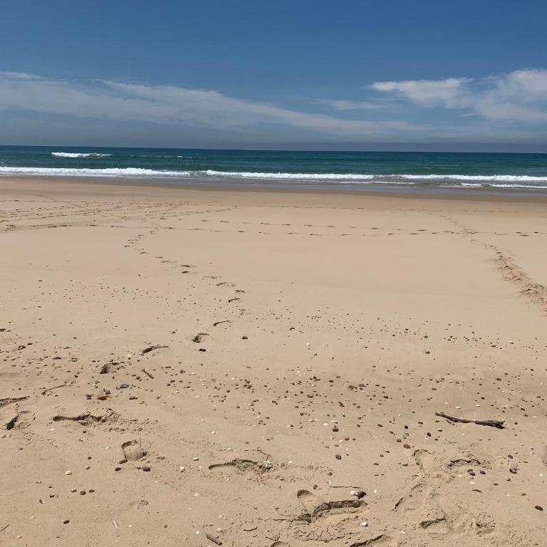 Villa OCEANSIDE Lège CAP-FERRET - Villa 3 Chambres - 22