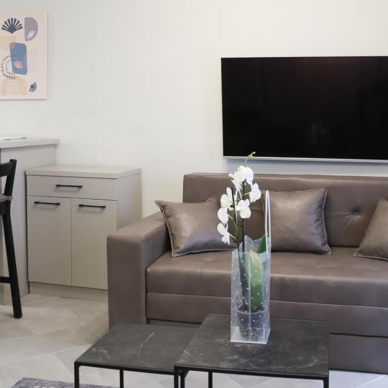 Apartments Srbija Waterfront - FREE PARKING - Deluxe Studio with Free Parking - 12