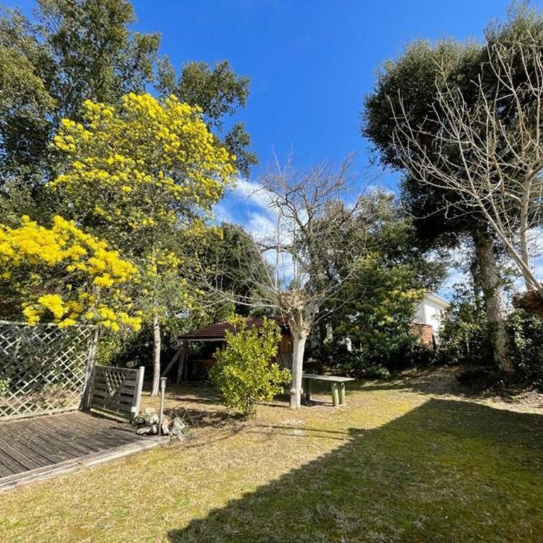 Villa landaise charmante pour 6 pers avec grand jardin - Capbreton - FR-1-413-211 - Maison de Vacances - 10