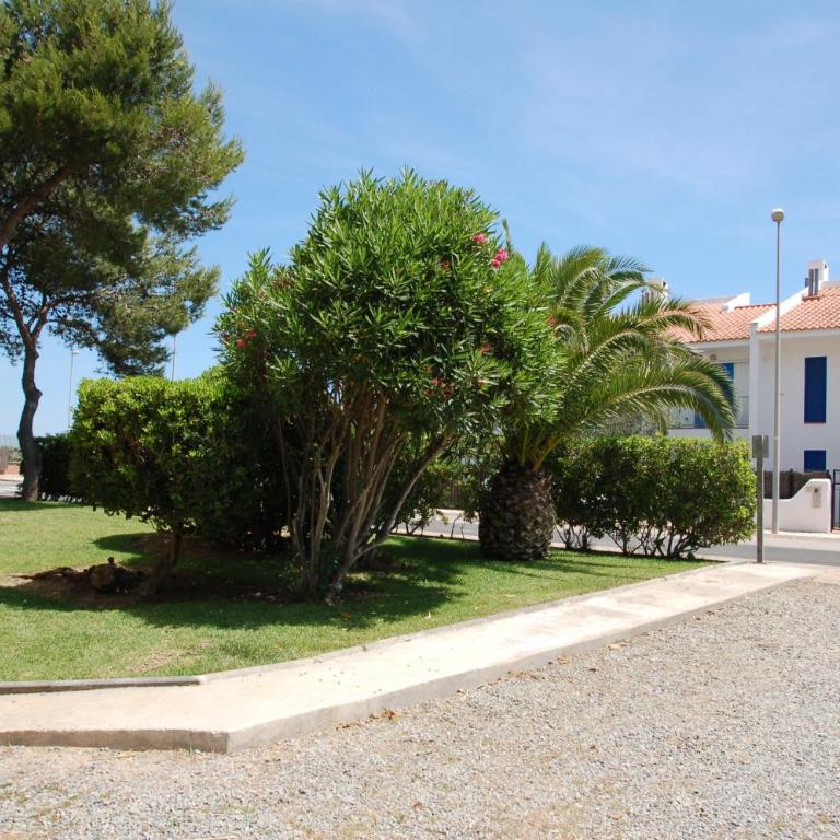 Mare Nostrum 543 - Appartement - Vue sur Mer - 7
