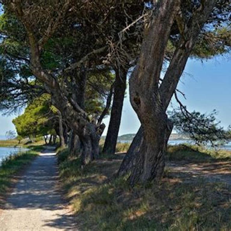 le bruit des vagues - Appartement 1 Chambre - 22