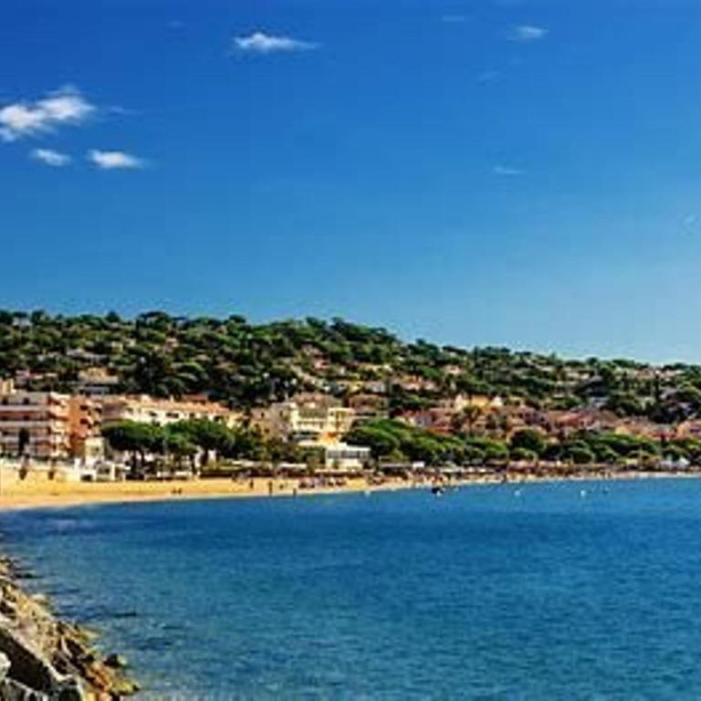 Sainte-Maxime, Apt 2 pièces avec piscine, terrasse, parking privé, proche plage et commerces - FR-1-226-487 - Apartment - 12
