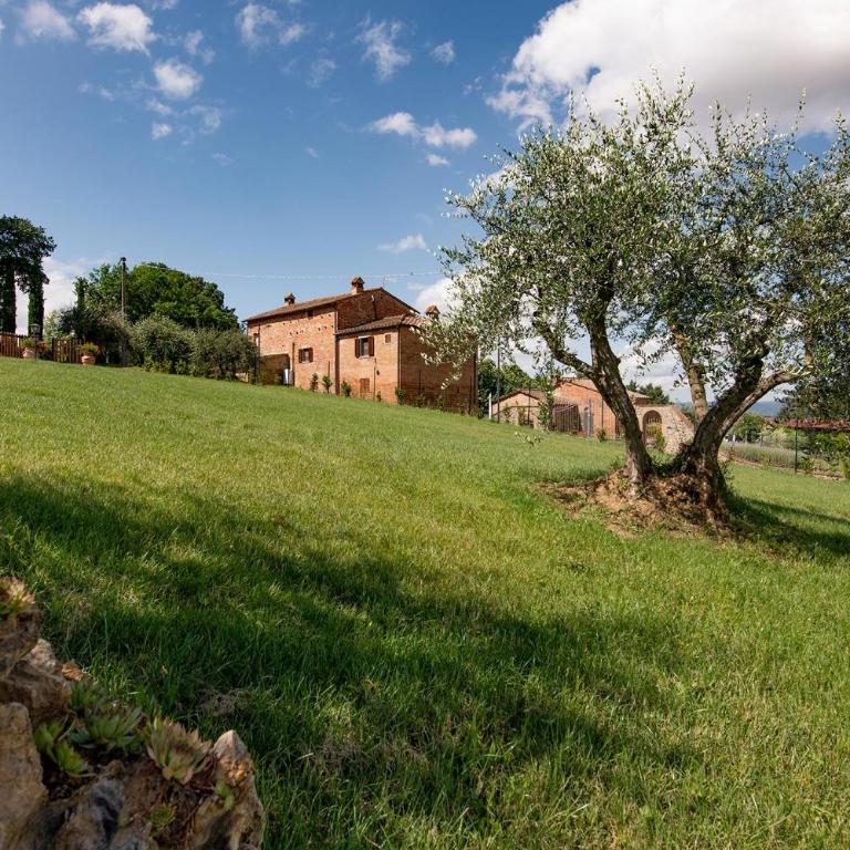 Borgo delle Spighe - Villa - 47