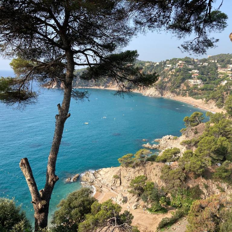 Bertur Cala Llevado - Apartamento de 1 dormitorio - 57