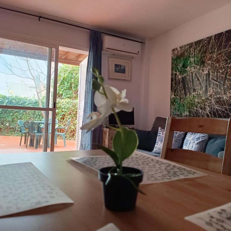 Casa baja naturista con patio en primera línea de playa con piscina comunitaria! - Apartamento de 1 dormitorio - 40