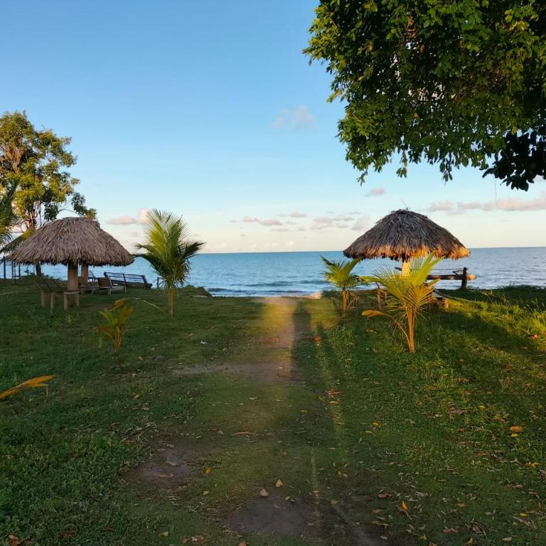 Bungalow Palmar del Viento - Casa con 1 dormitorio - 7
