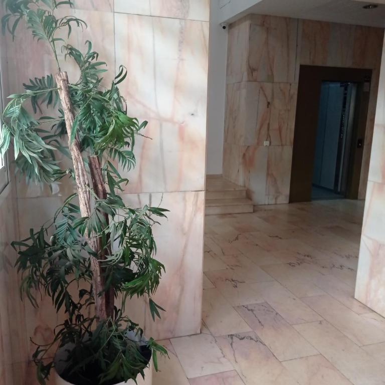 PERLAMAR Ático - Apartamento de 1 dormitorio - 14