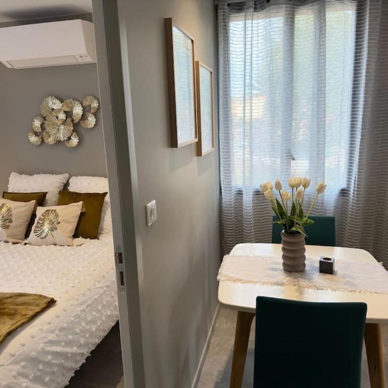 Ravissant T2 bord de mer garage privé classé 3 étoiles - Apartamento de 1 dormitorio - 17