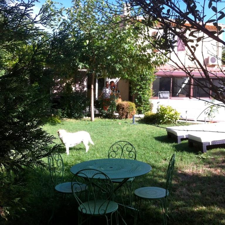 Chambres d'Hôtes dans villa avec piscine chez Raphaële - Chambre Double - Vue sur Jardin - 7