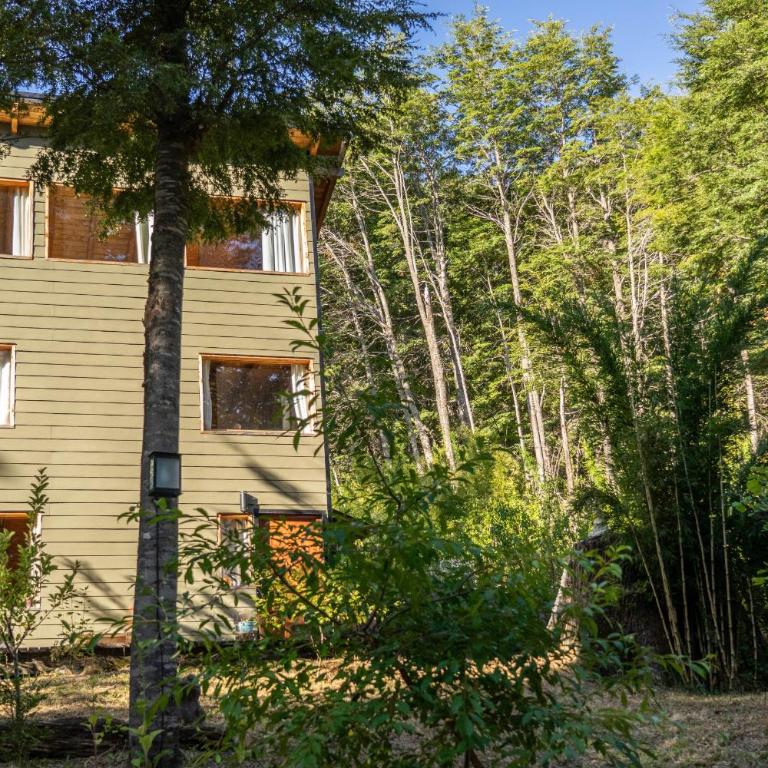 BOG Budas del Bosque - Casa - 31