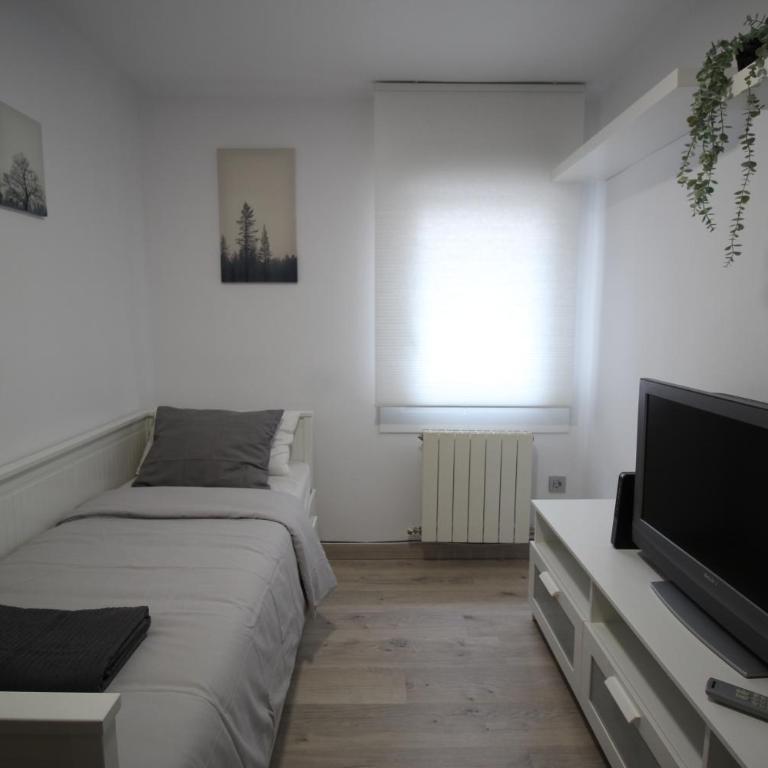 Apartamento los Pirineos Sabi - Three-Bedroom Apartment - 46