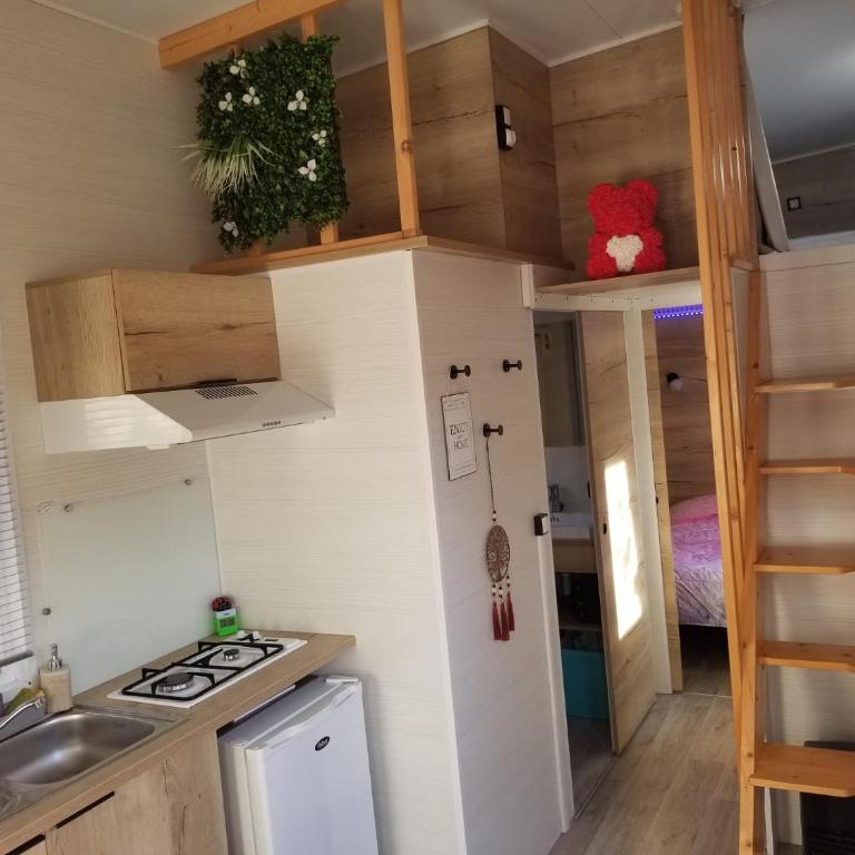 La Tiny du Midi - Mobile Home - 3