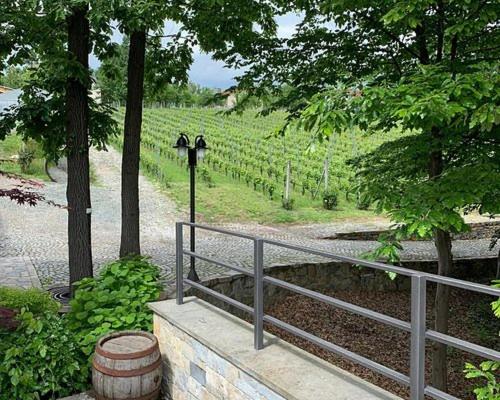 Yellow apartman - Apartman sa 1 Spavaćom Sobom - 31