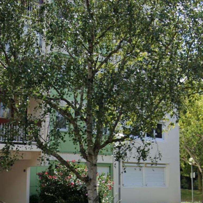 Charmant T2 proche Château, Gare, UCO, Parking privé gratuit - Appartement 1 Chambre - 48