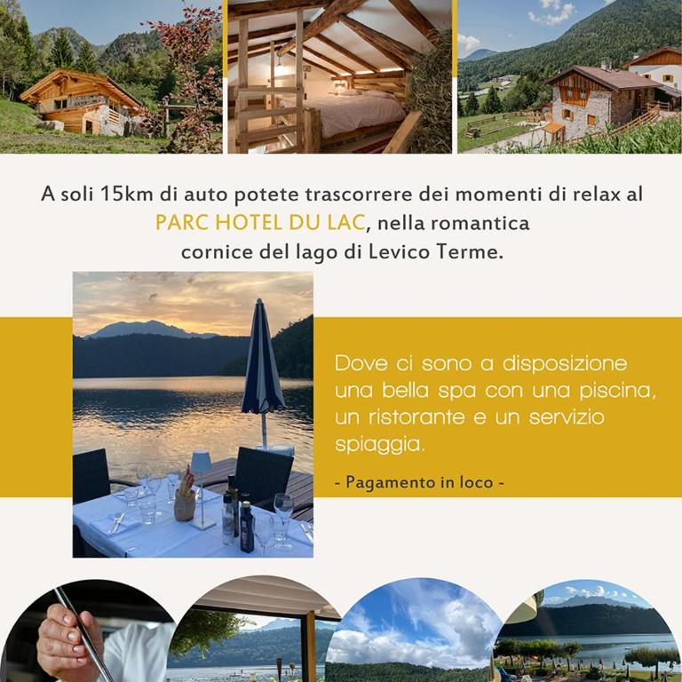 Maso Del Fieno con Sauna Privata e Vista Unica - Chalet (6 Adulti) - 22