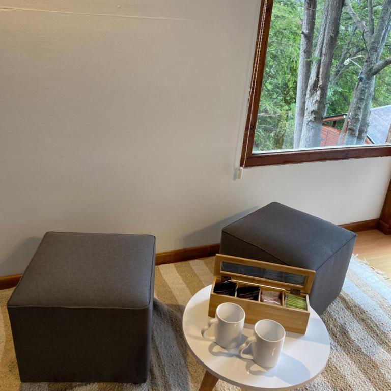 Bosque al Lago - Apartamento de 2 dormitorios - 11