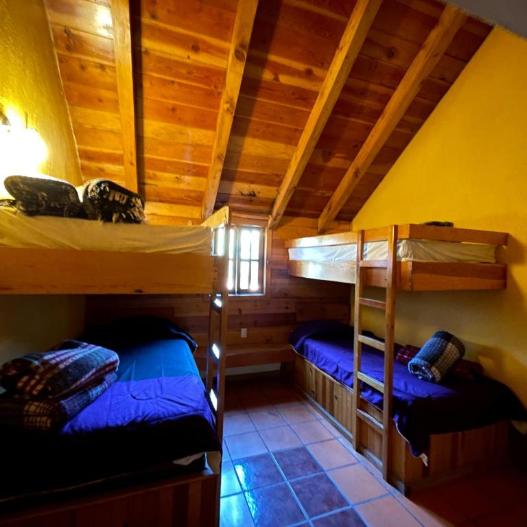 Cabañas Lupita - Casa de 2 dormitorios - 19